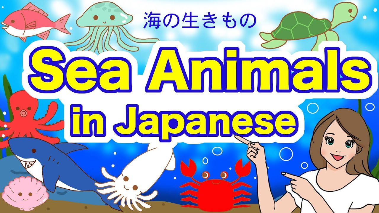 🏛️ 간논자키 자연사 박물관 (칸논자키 시젠 하쿠부츠칸) 이미지 8